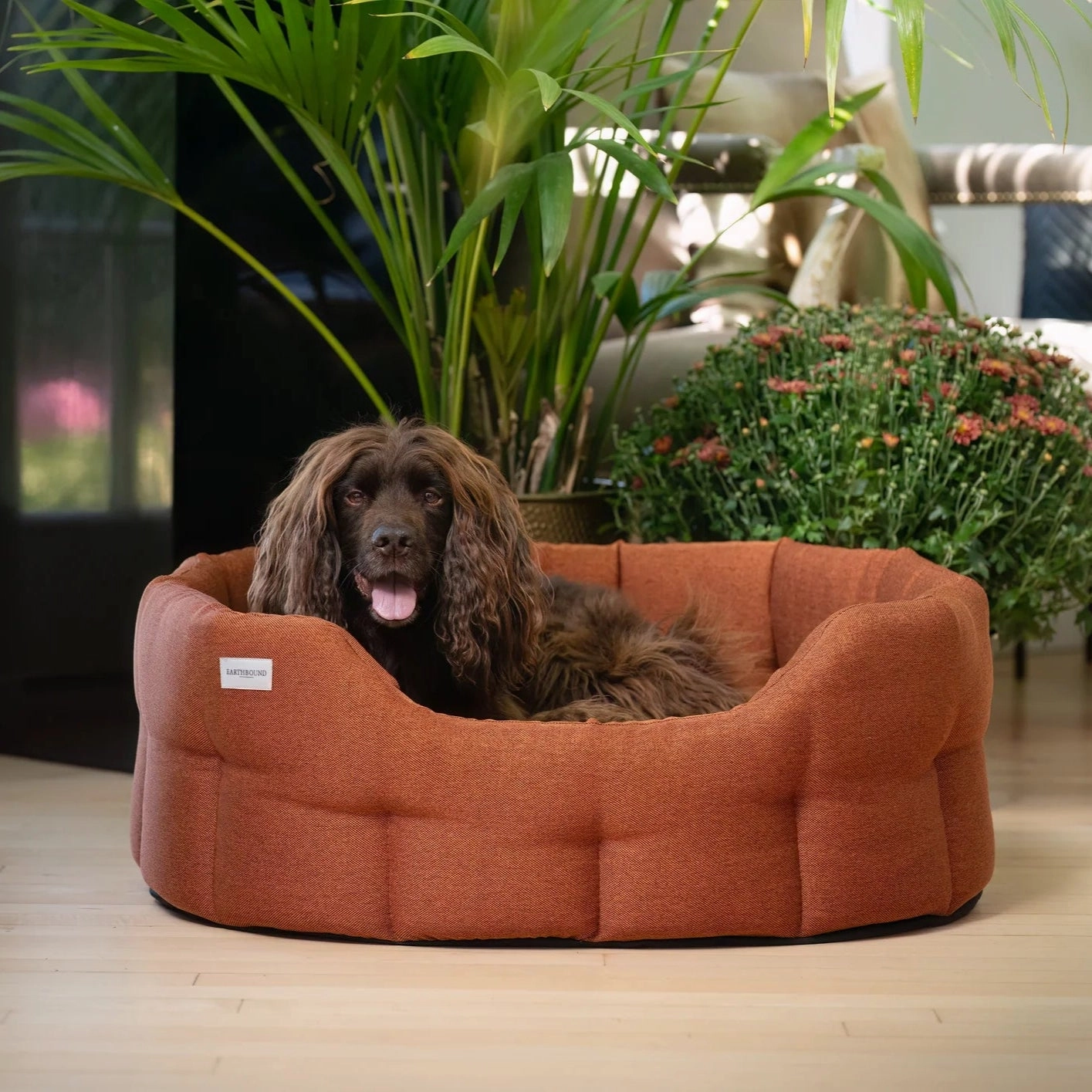 Earthbound Camden Burnt Orange Dog Bed