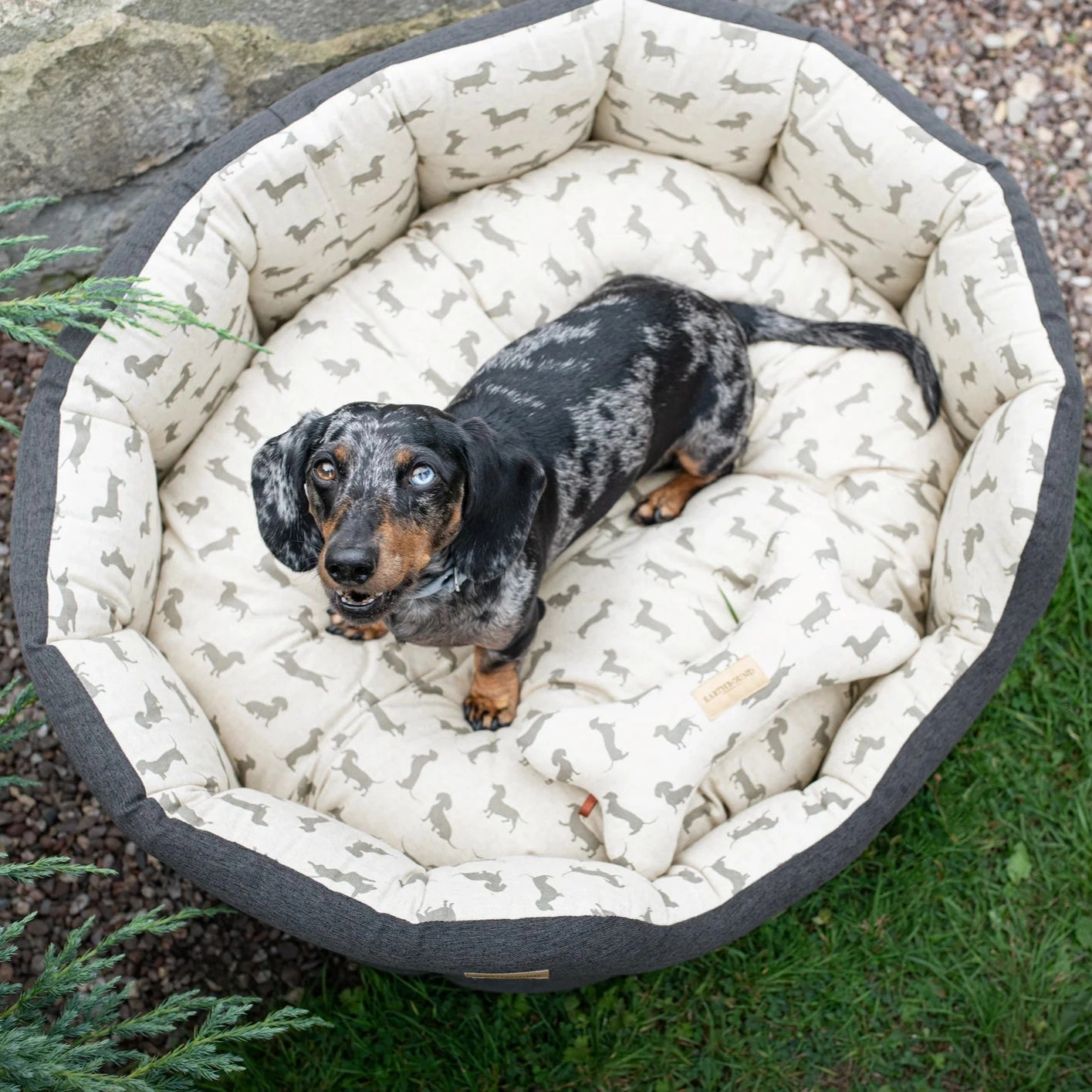 Earthbound Dachshund Snuggle Bed