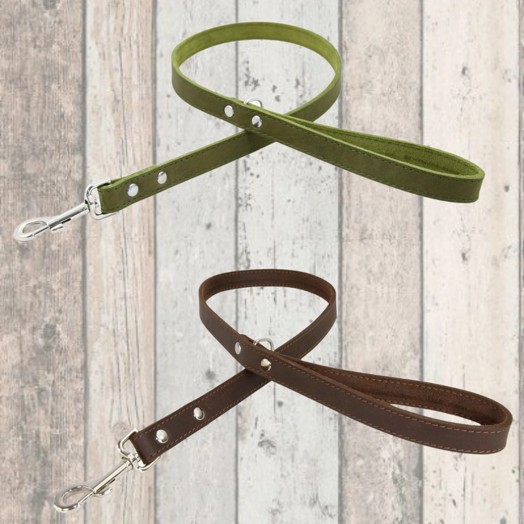 Earthbound Leather Dog Leads