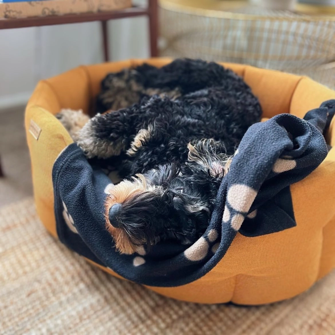 Earthbound Mustard Yellow Camden Dog Bed