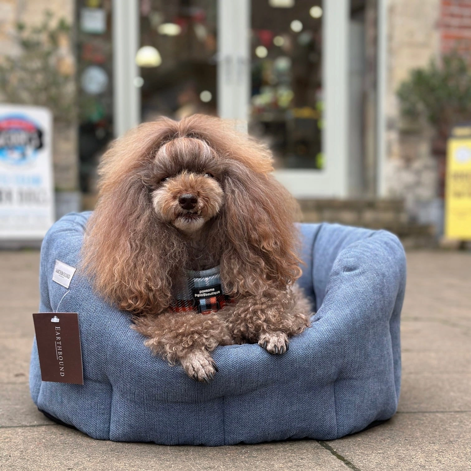 Earthbound Orkney Daisy Blue Dog Bed