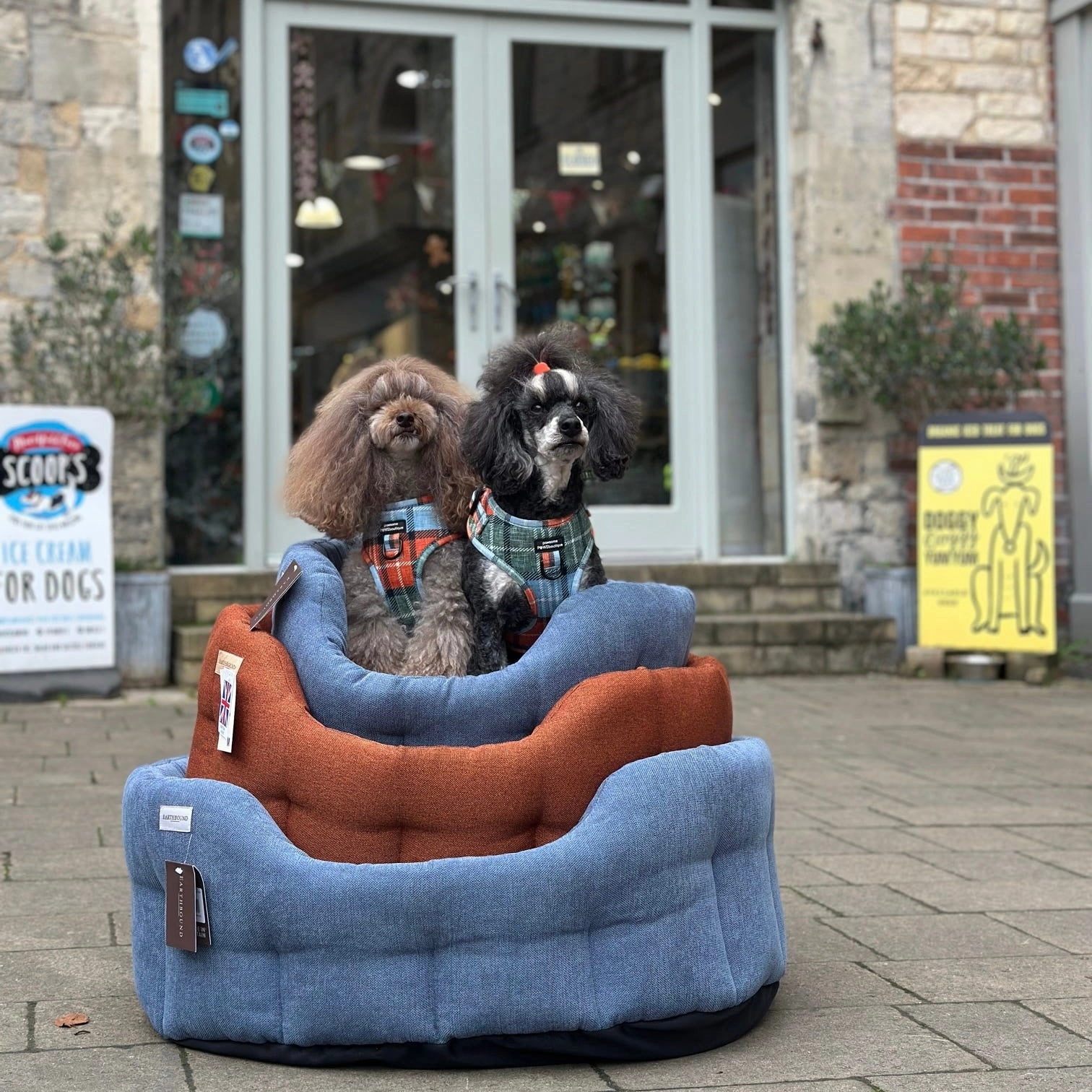 Earthbound Orkney Daisy Blue Dog Bed
