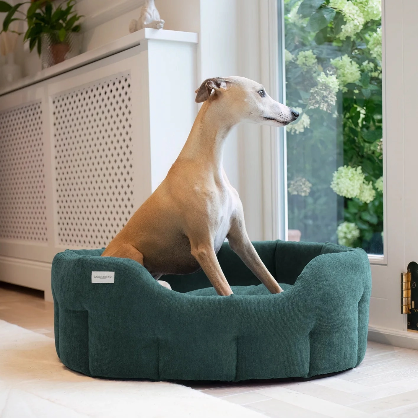 Earthbound Orkney Evergreen Dog Bed