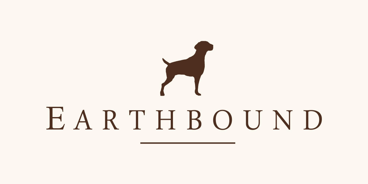 Earthbound Teal Camden Dog Bed