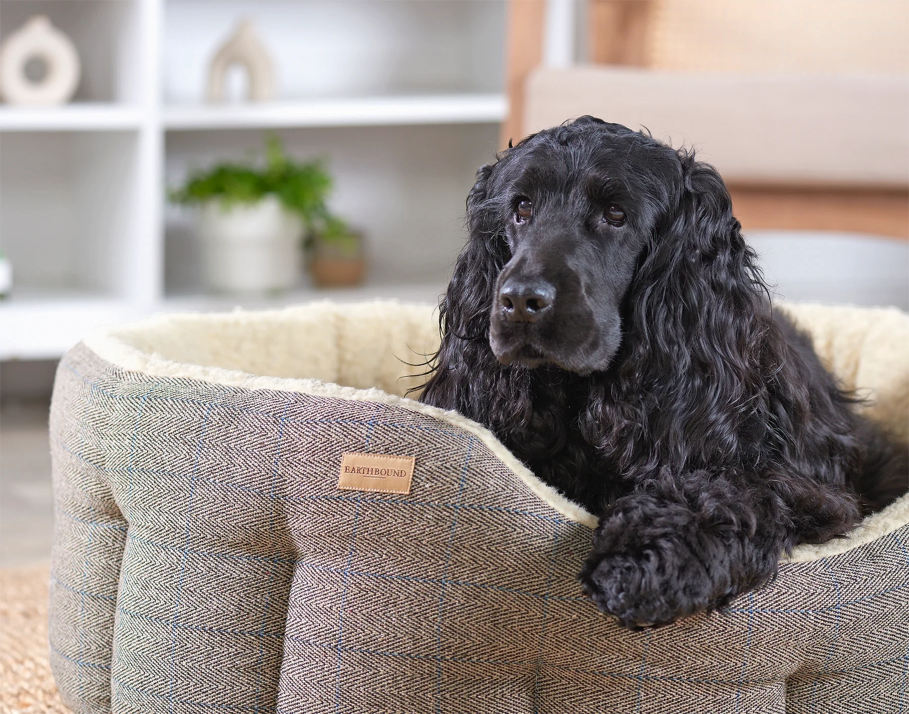Earthbound Tweed Snuggle Bed