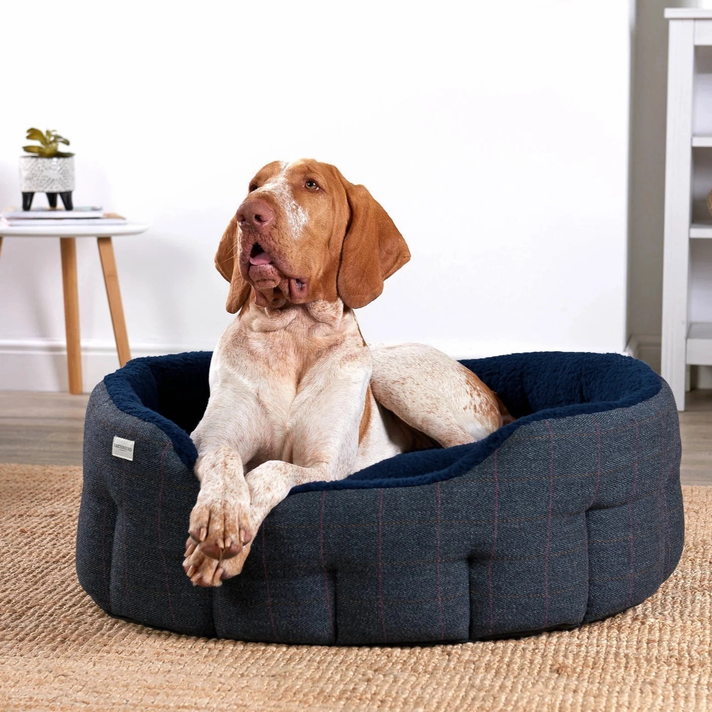 Earthbound Tweed Snuggle Bed