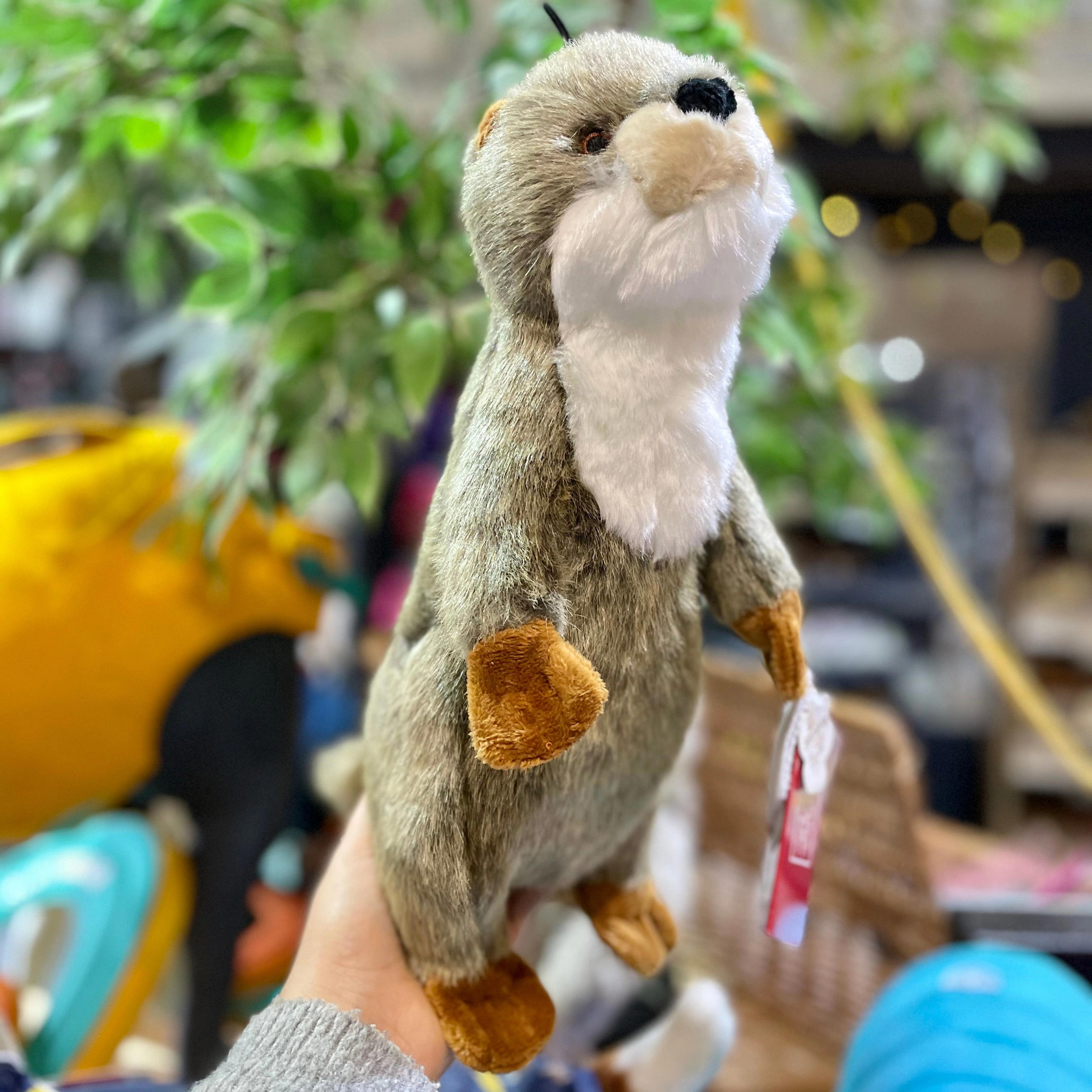 Fluff & Tuff Harry Otter