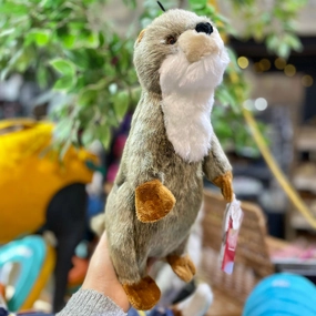 Fluff & Tuff Harry Otter