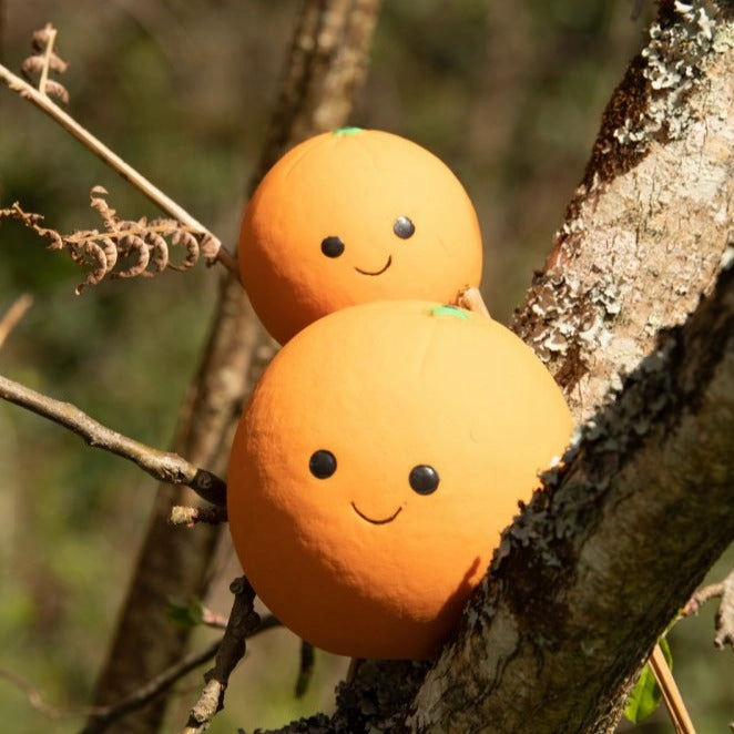 Foodie Faces Latex Orange Dog Toy