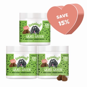 Grass Green Supplement Chews for Dogs 3-pack