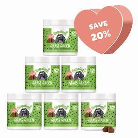 Grass Green Supplement Chews for Dogs 6-pack