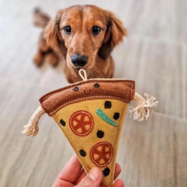 Green & Wilds Pepe Le Pizza Eco Dog Toy