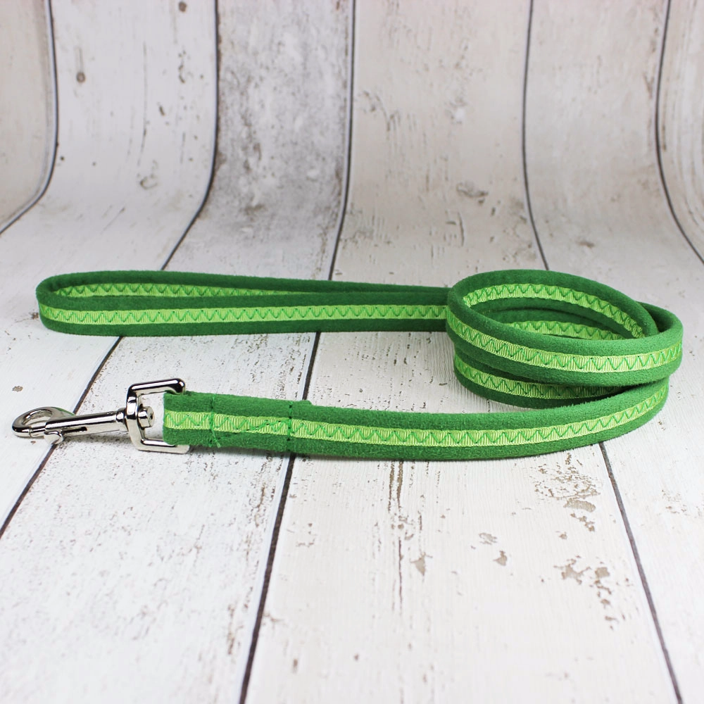 Green Oscar and Hooch Dog Lead