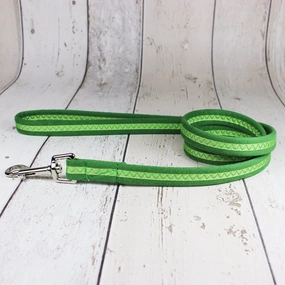 Green Oscar and Hooch Dog Lead
