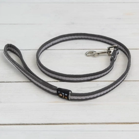 Grey Oscar and Hooch Dog Lead