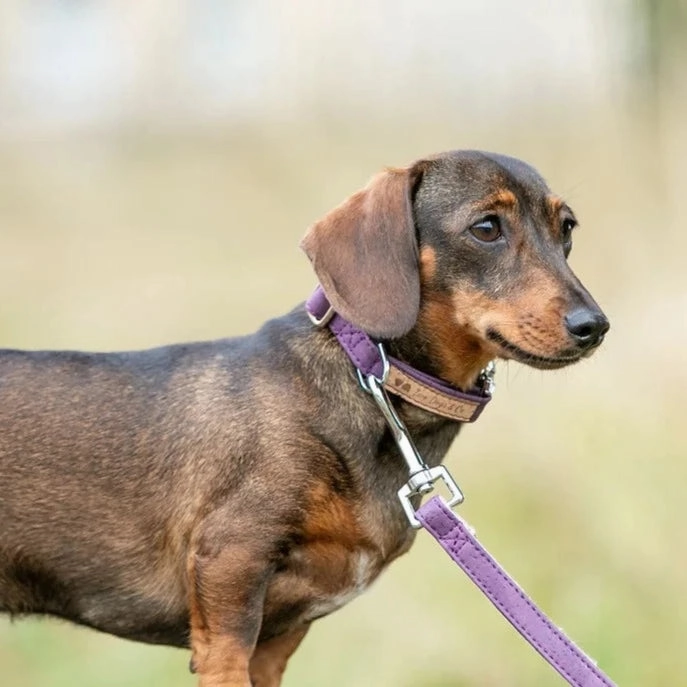 Handmade Cork Eco Dog Leads