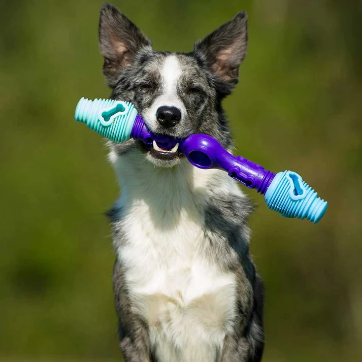 K9 Connectables The Dentist