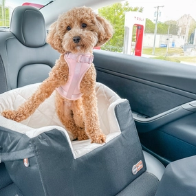 K&H Bucket Booster? Pet Seat