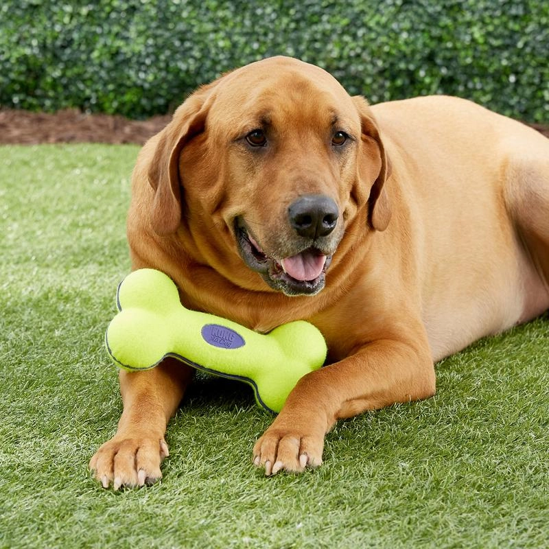 Kong AirDog Squeaker Bone