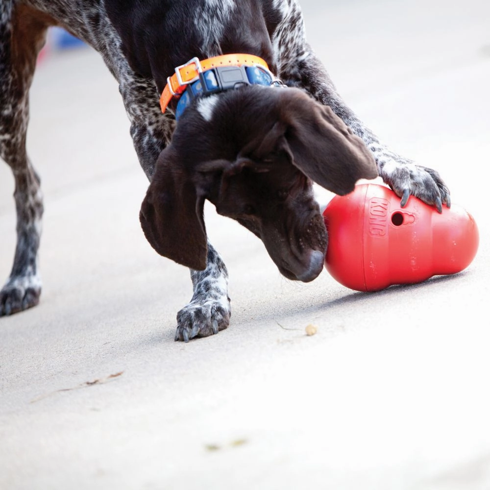 Kong Wobbler Treat Dispenser
