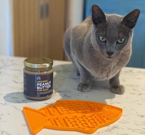 LickiMat? - for Cats