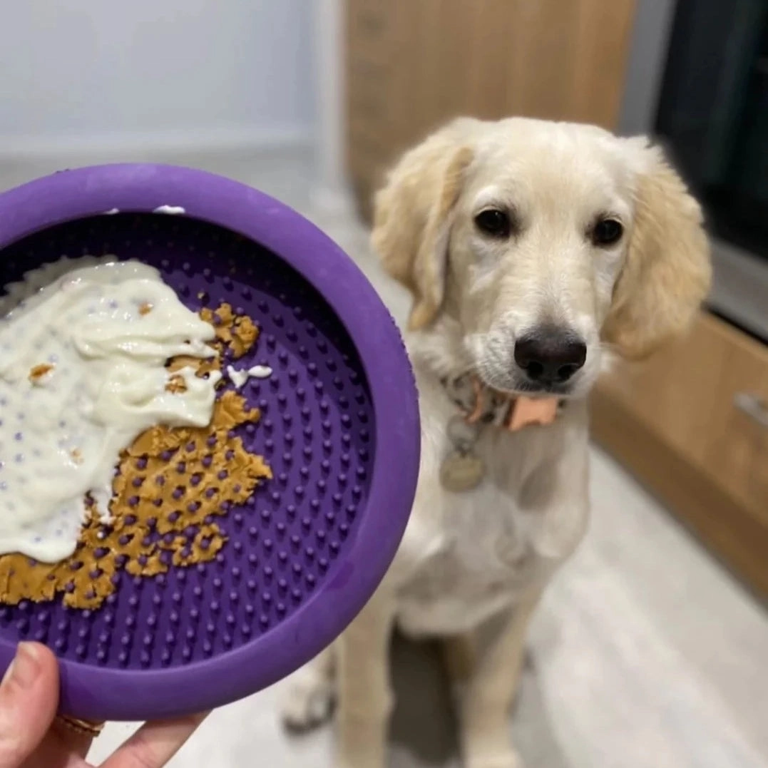 LickiMat? UFO Slow Feeder Dog Bowls