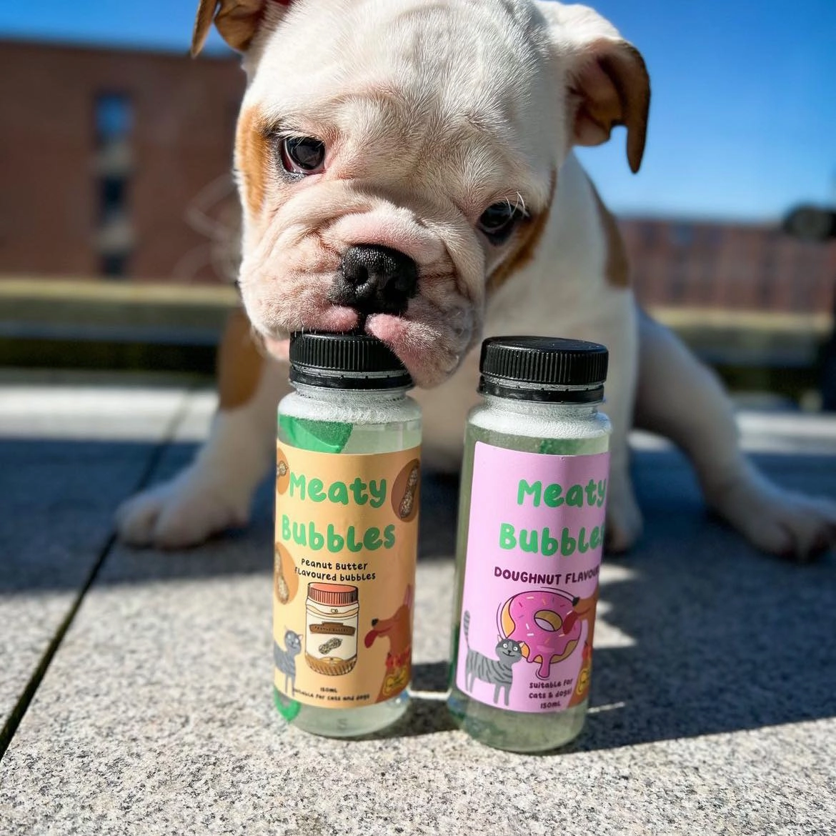 Meaty Edible Bubbles for Dogs