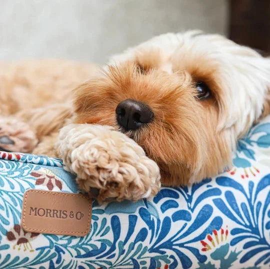 Morris & Co Bower Print Dog Mattress