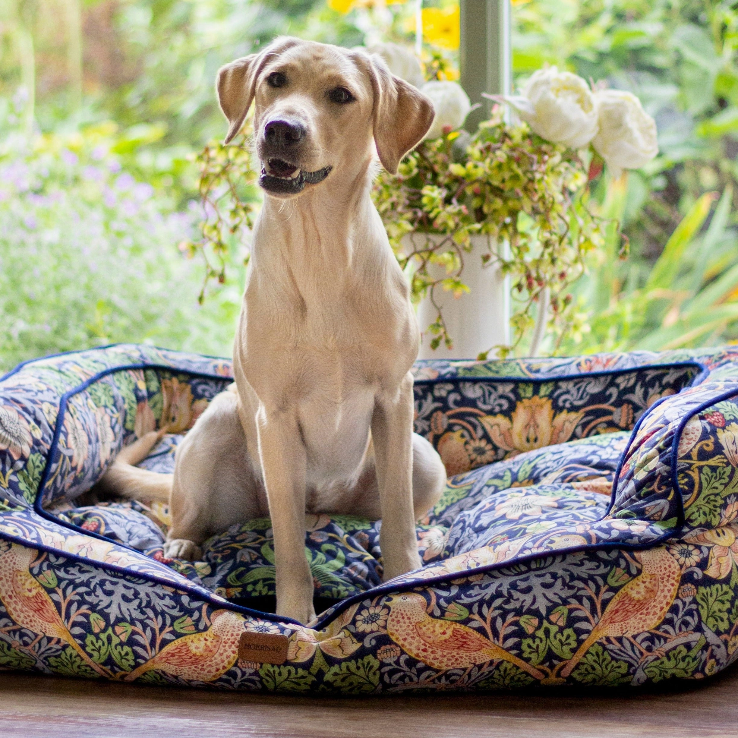 Morris & Co Strawberry Thief Dark Blue Dog Sofa Bed