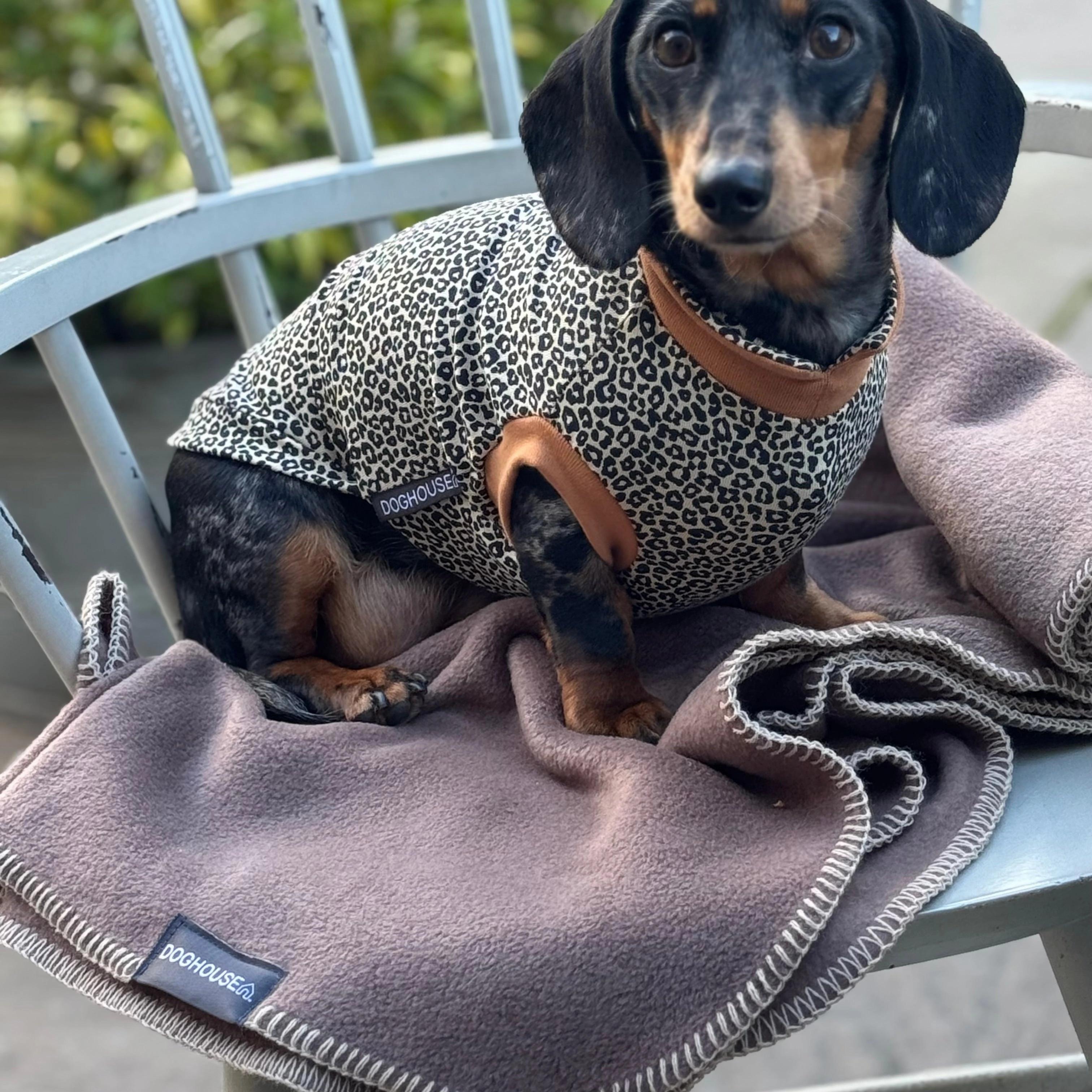 NEW Doghouse Stitched Blankets for Dogs