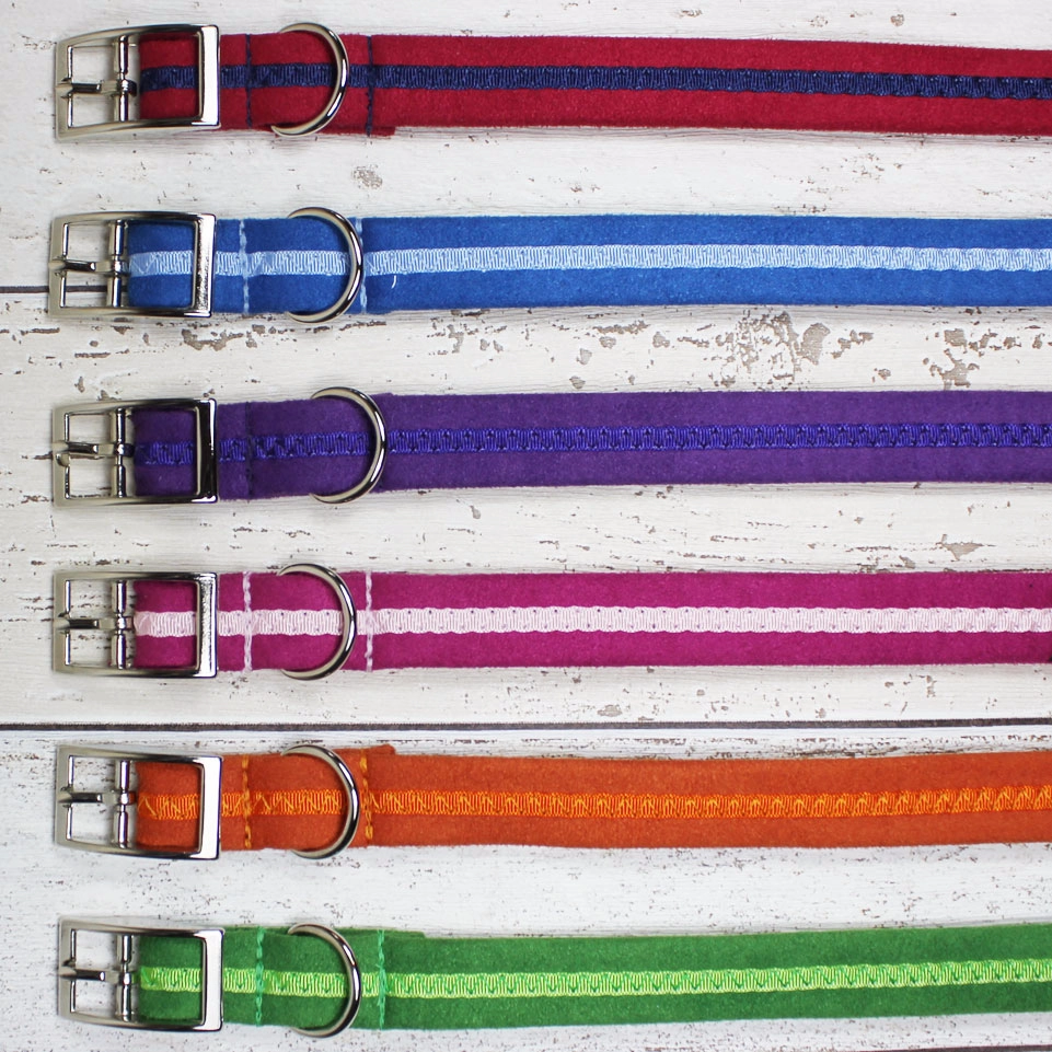 Orange Oscar and Hooch Dog Lead