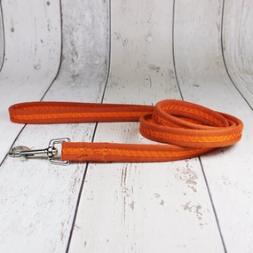 Orange Oscar and Hooch Dog Lead