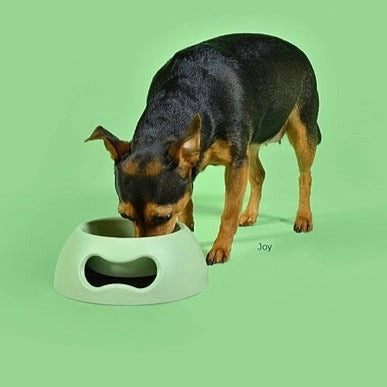 Pappy Bone Dog Bowl Green