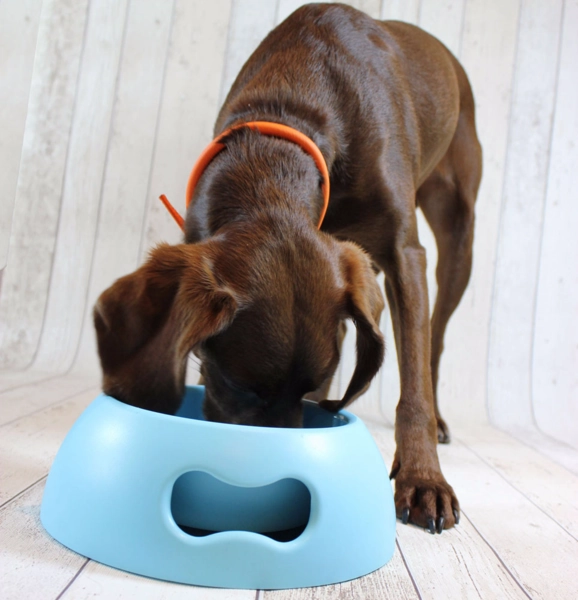 Pappy Bone Dog Bowl Pink