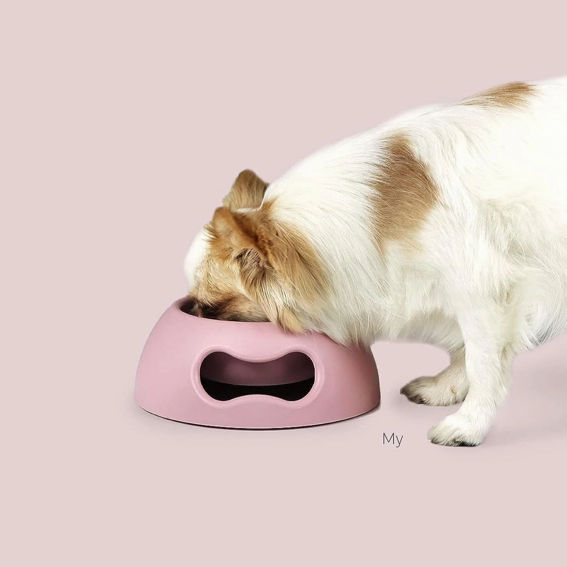 Pappy Bone Dog Bowl Pink