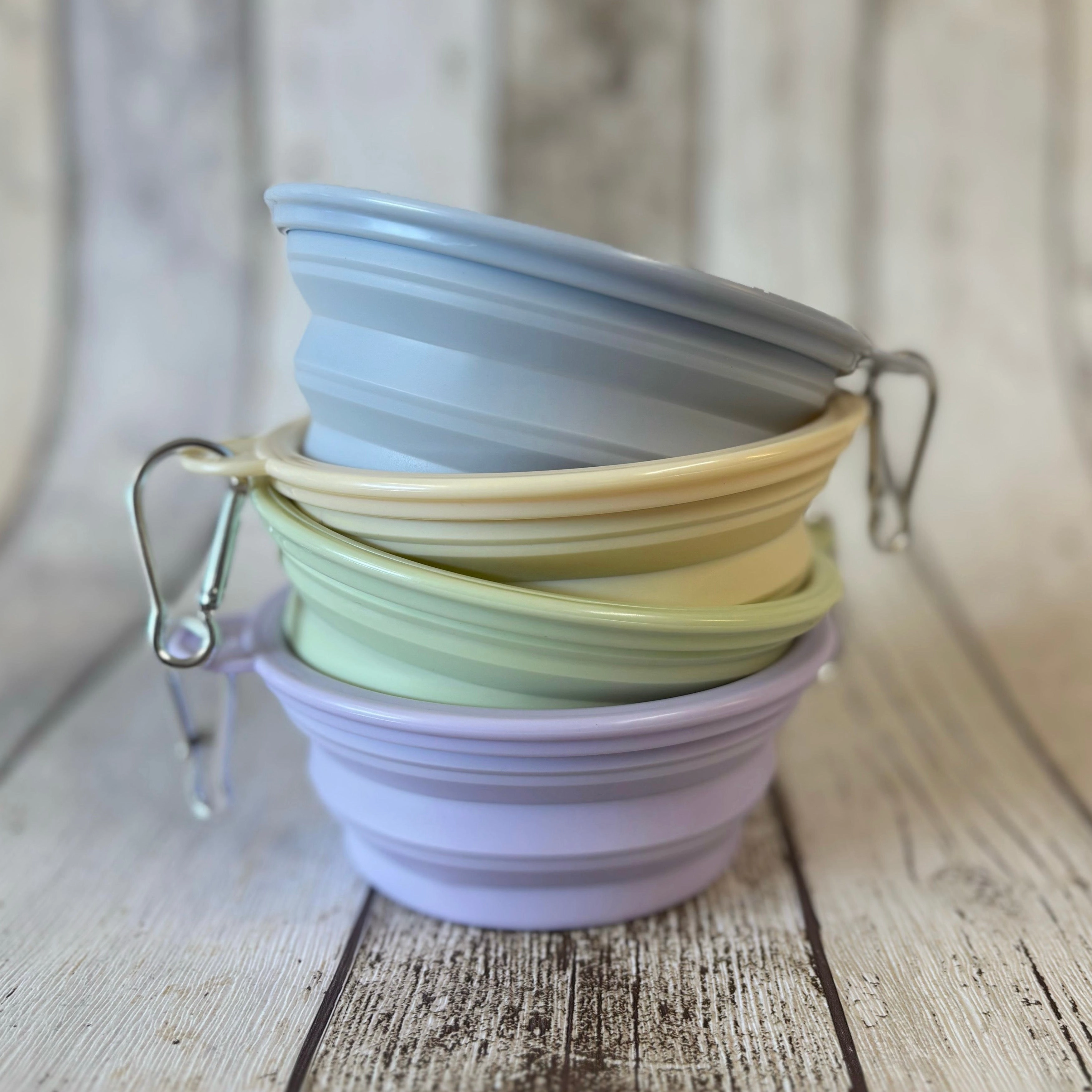 Pastel Collapsible Travel Bowls