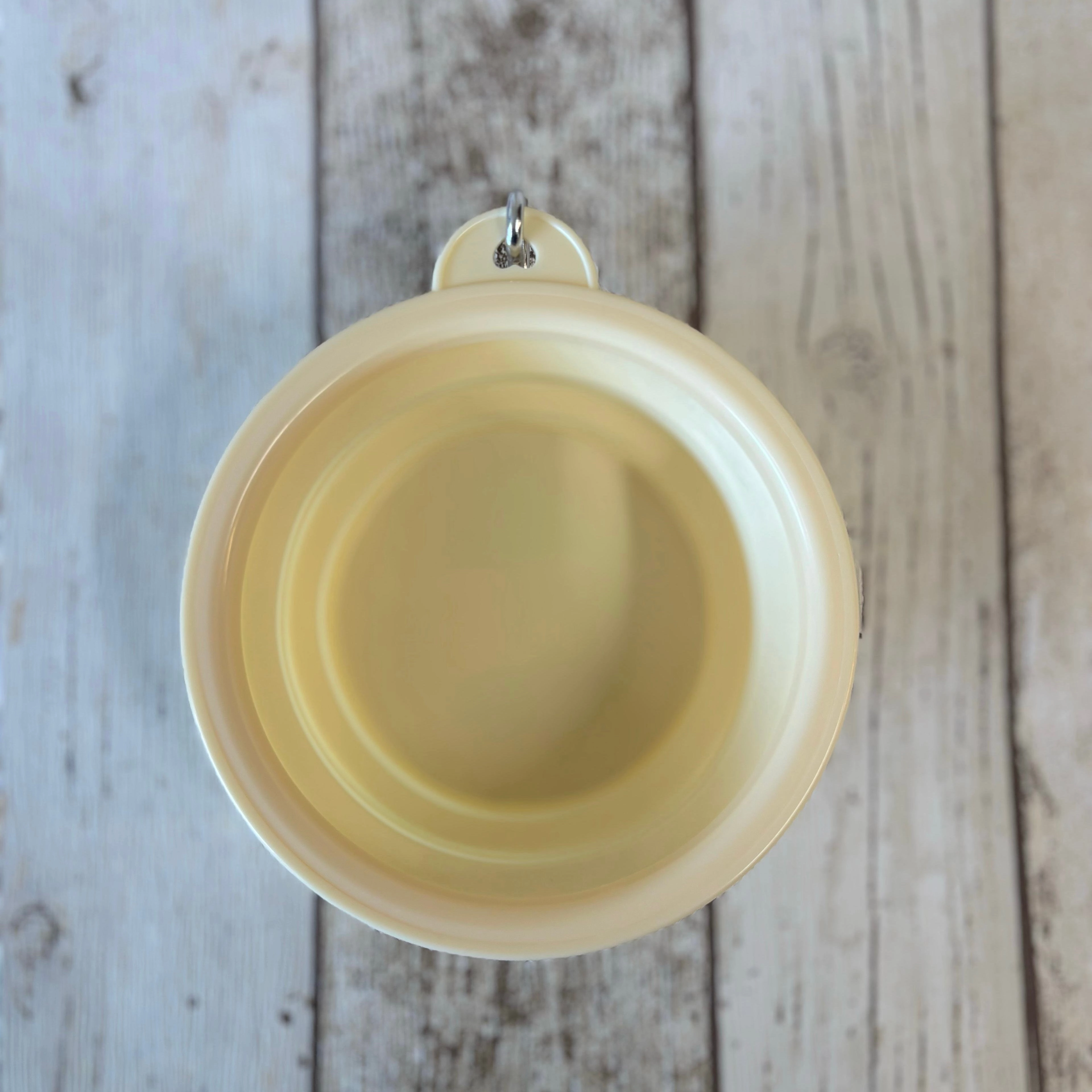 Pastel Collapsible Travel Bowls