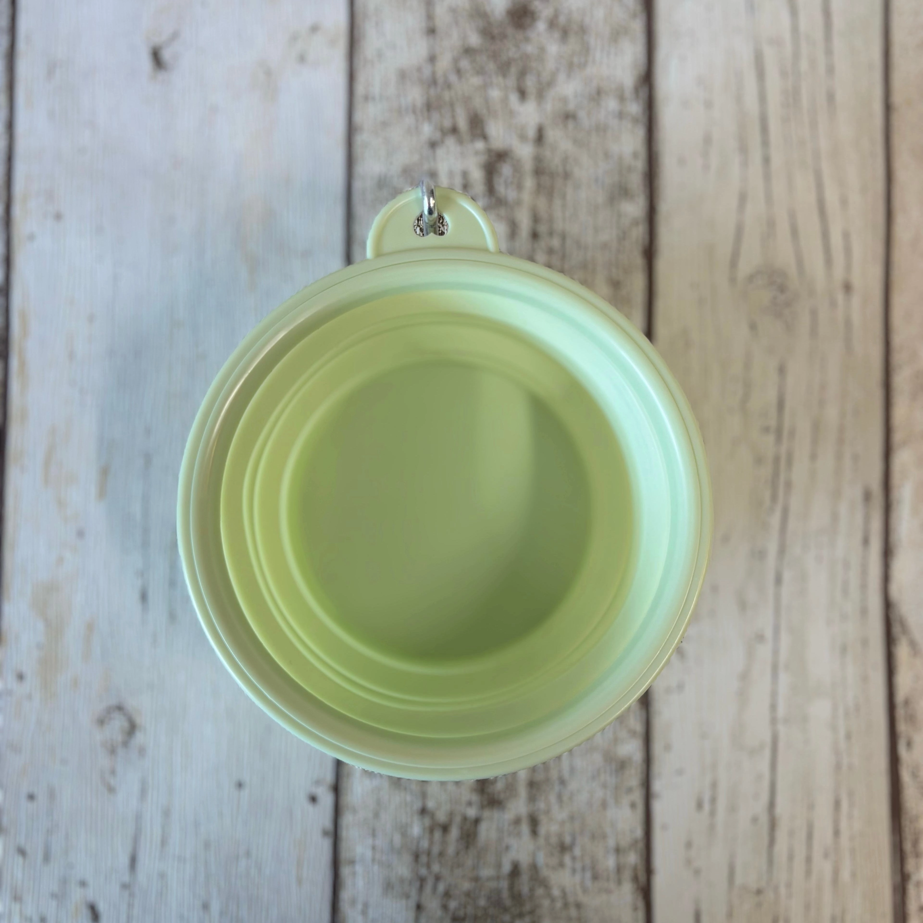 Pastel Collapsible Travel Bowls