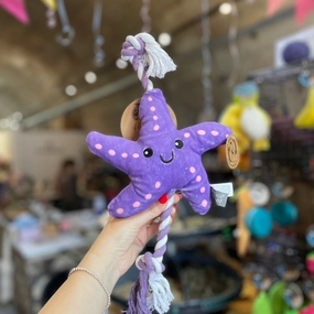 PetFace Planet Samantha Starfish Plush Dog Toy