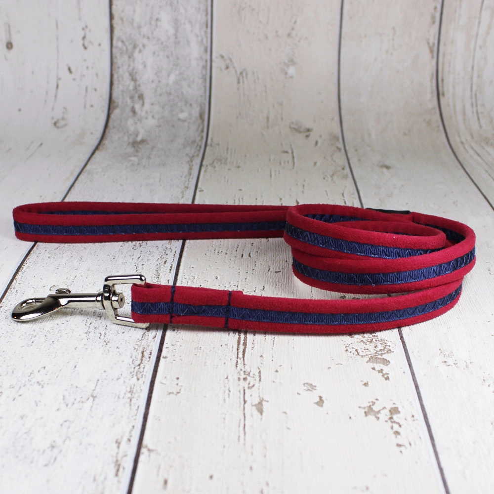 Red Oscar and Hooch Dog Lead