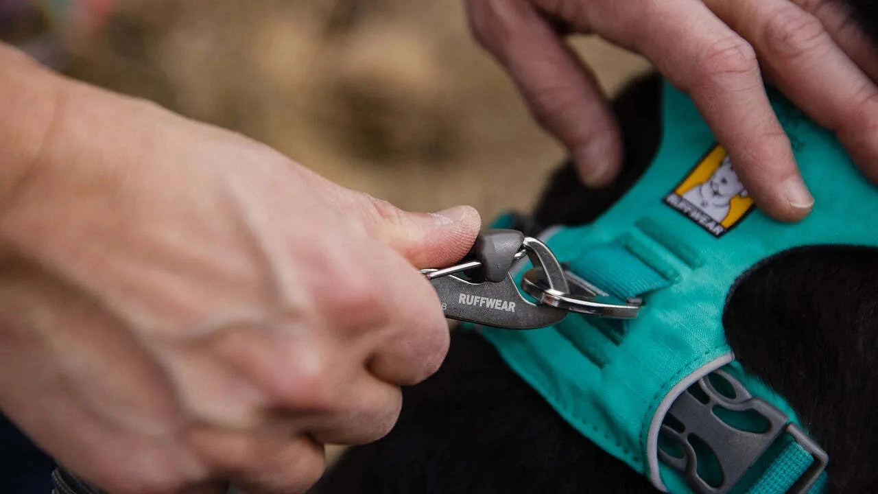 Ruffwear Front Range? Dog Lead