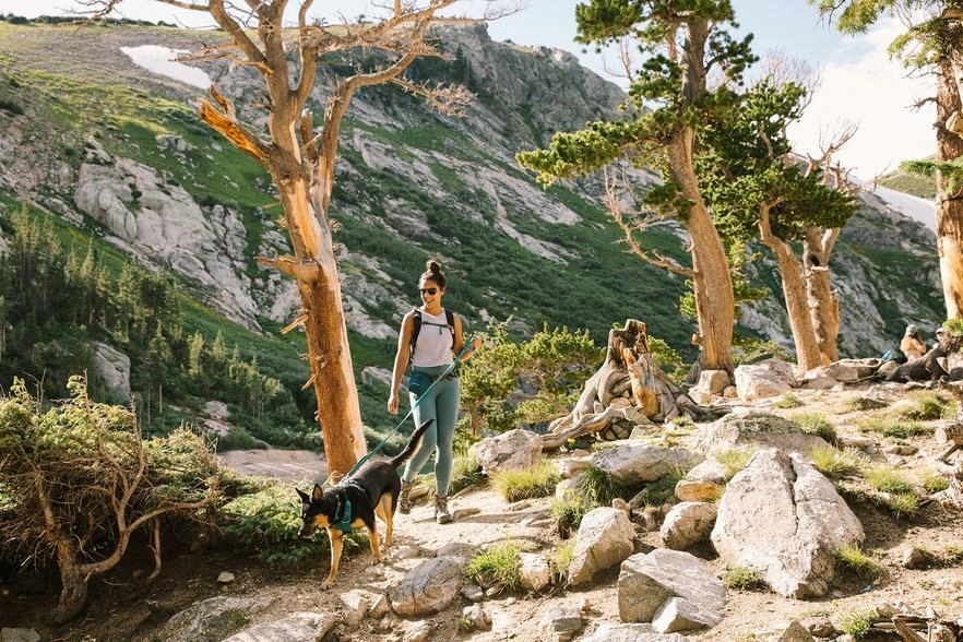 Ruffwear Front Range? Dog Lead