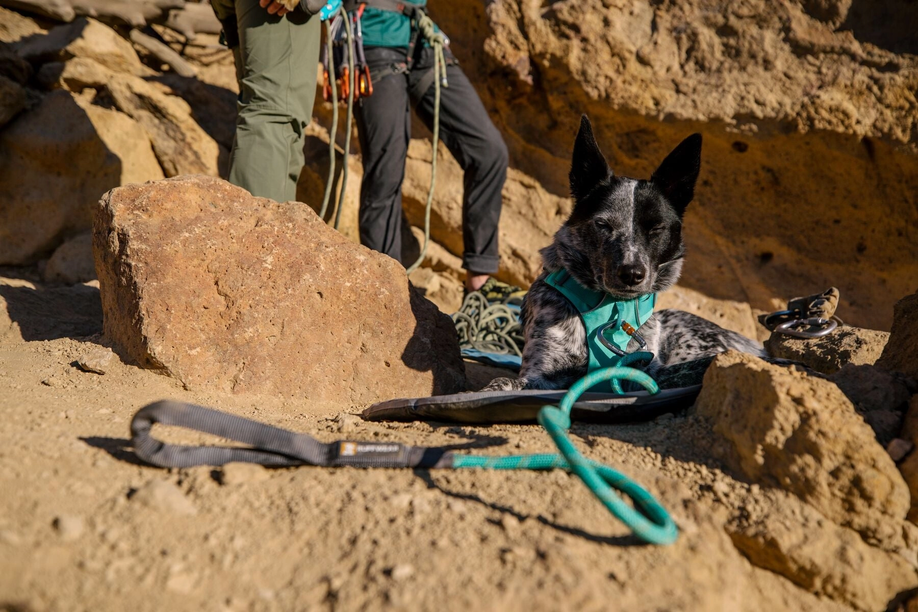 Ruffwear Knot-a-Leash? Rope Dog Leash