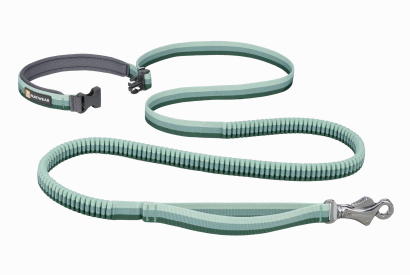 Ruffwear Roamer Bungee Dog Lead