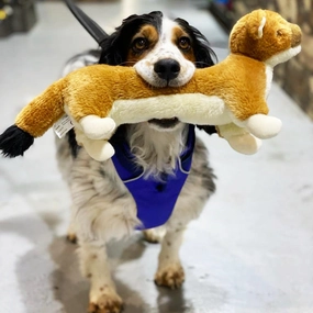 Sally the Stoat Dog Toy