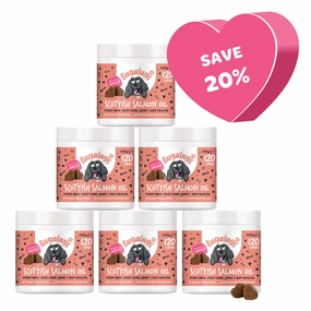 Scottish Salmon Oil Supplement Chews for Dogs 6-pack