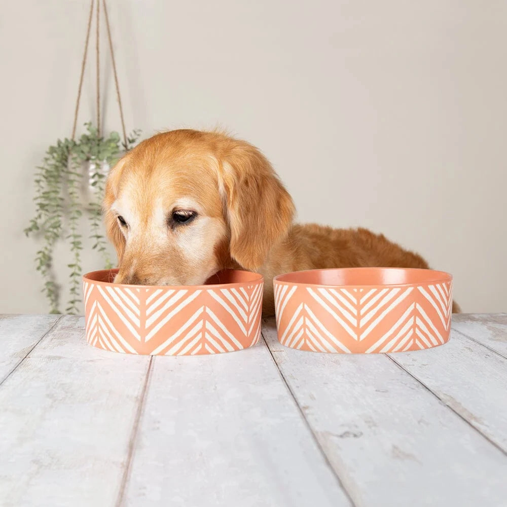 Scruffs Aztec Pet Food Bowl