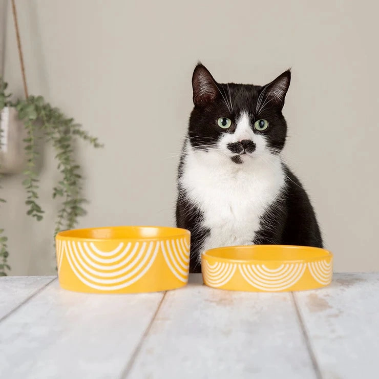 Scruffs Aztec Pet Food Bowl