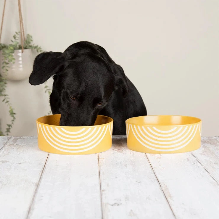 Scruffs Aztec Pet Food Bowl