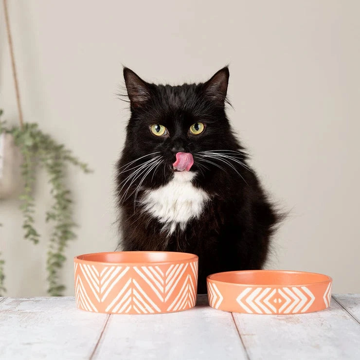 Scruffs Aztec Pet Food Bowl
